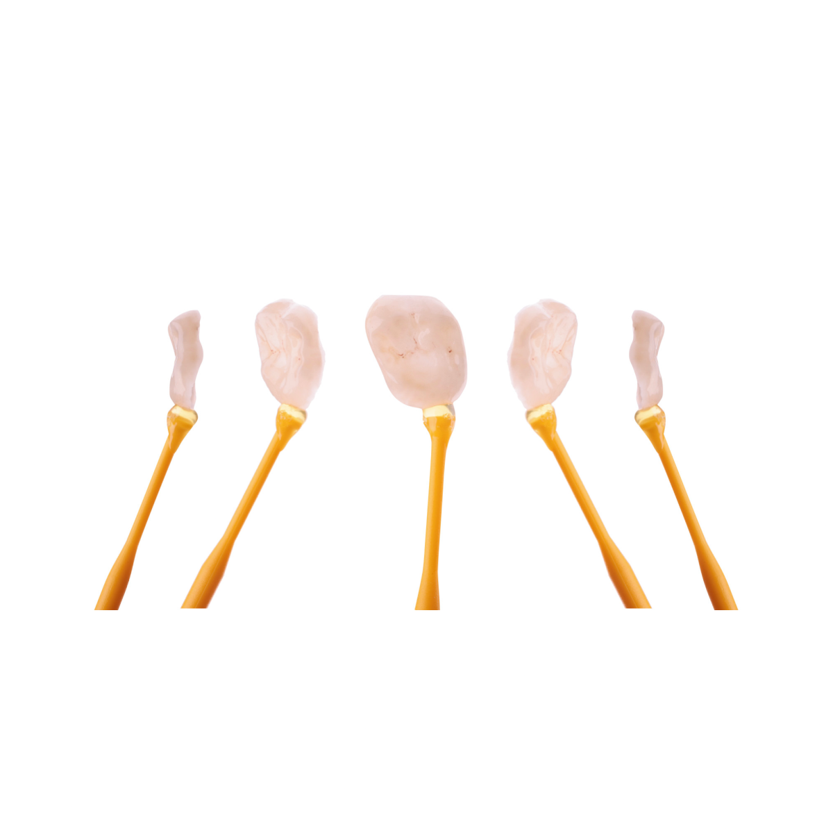 dentisterie adhésive